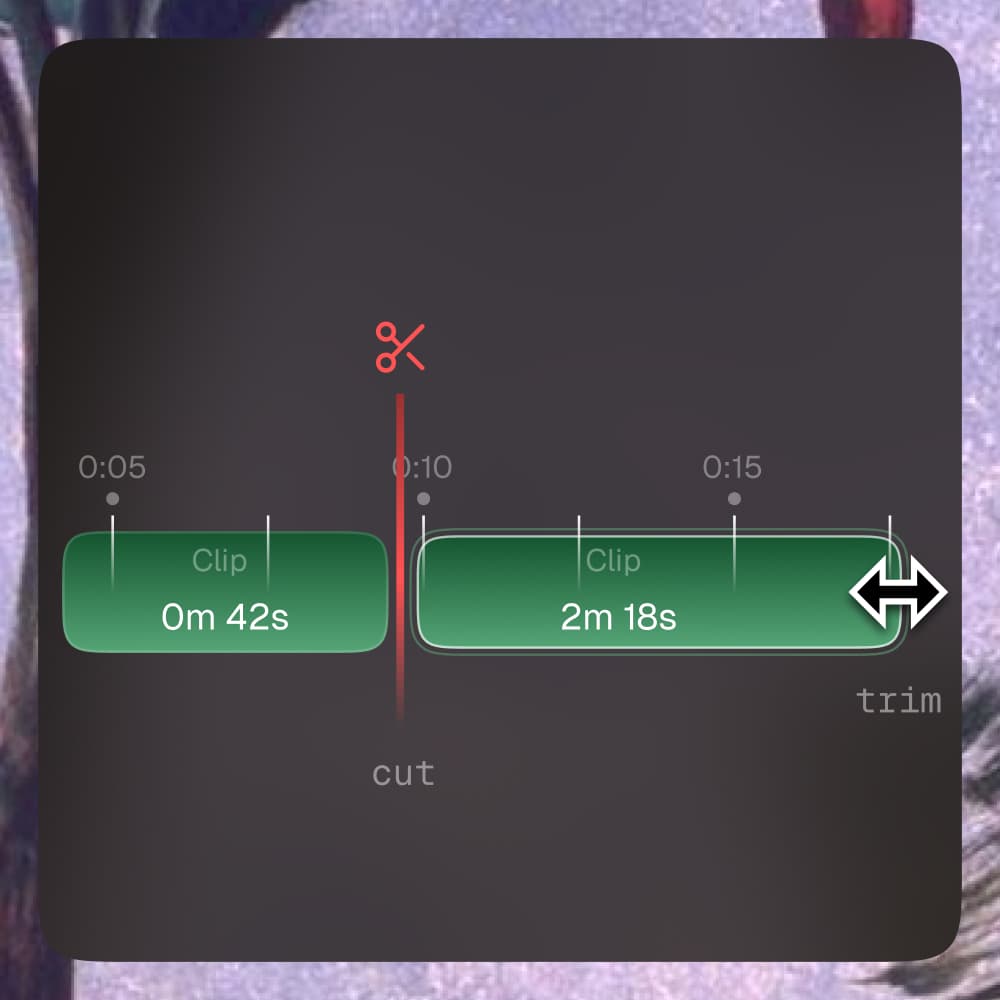 Resize the video length, and cut clips.